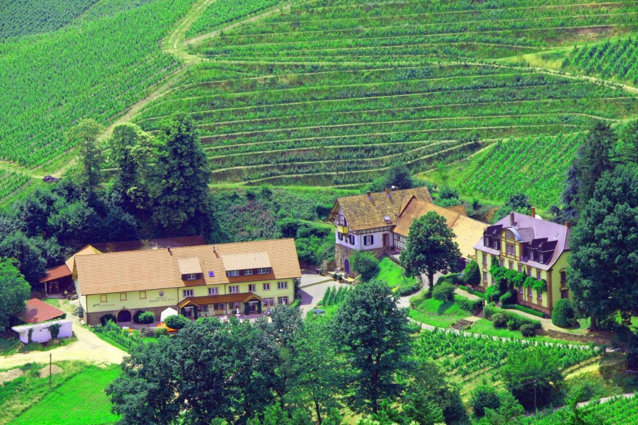 Wein Lodge Durbach - Josephsberg 2 Zewnętrze zdjęcie