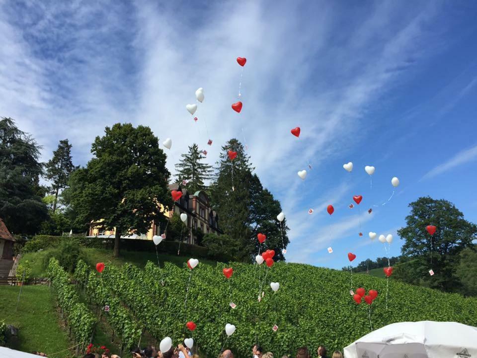Wein Lodge Durbach - Josephsberg 2 Zewnętrze zdjęcie